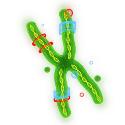 dna_PNG66_s