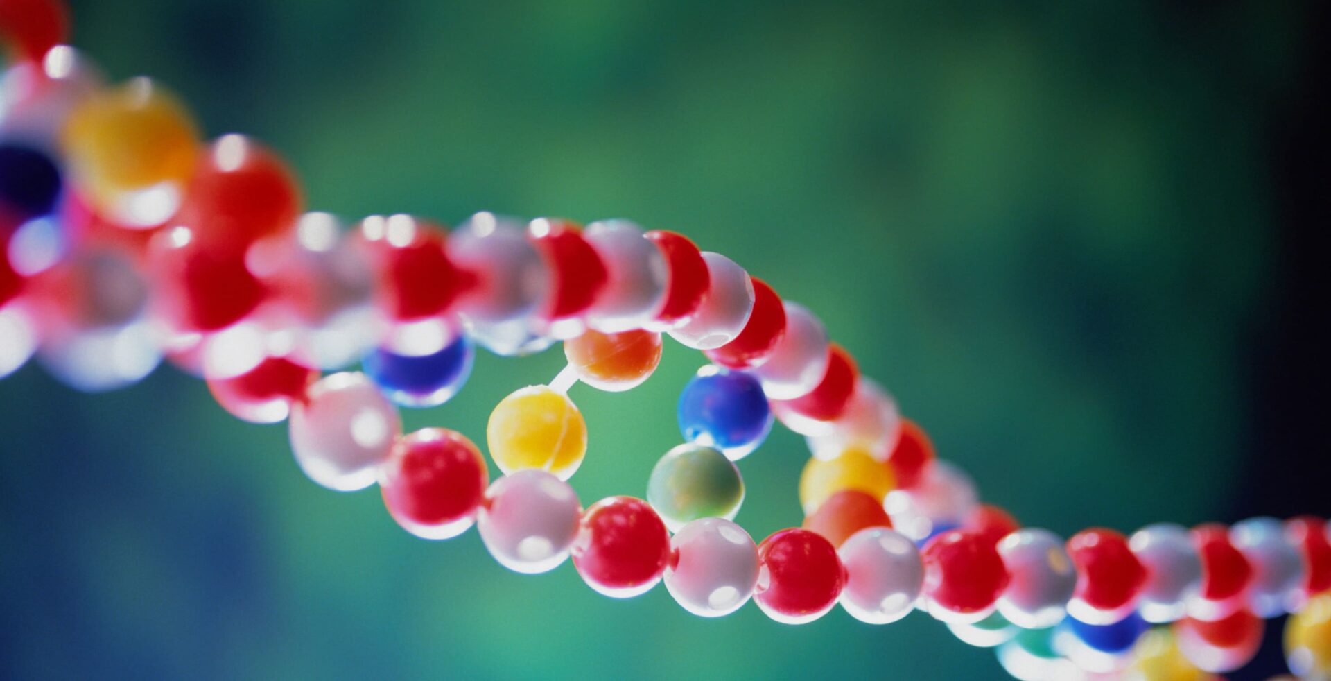 Genographic_10