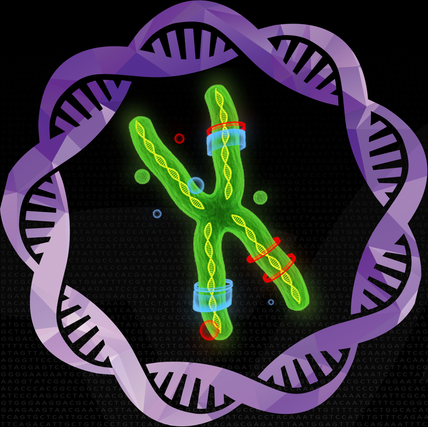 LOGO_2