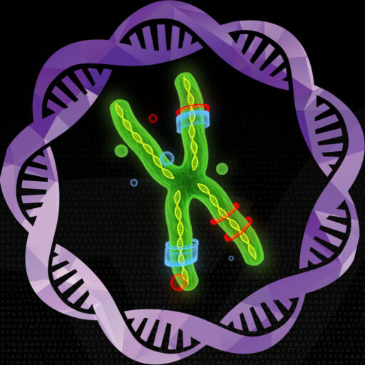 cropped-cropped-LOGO_2.jpg