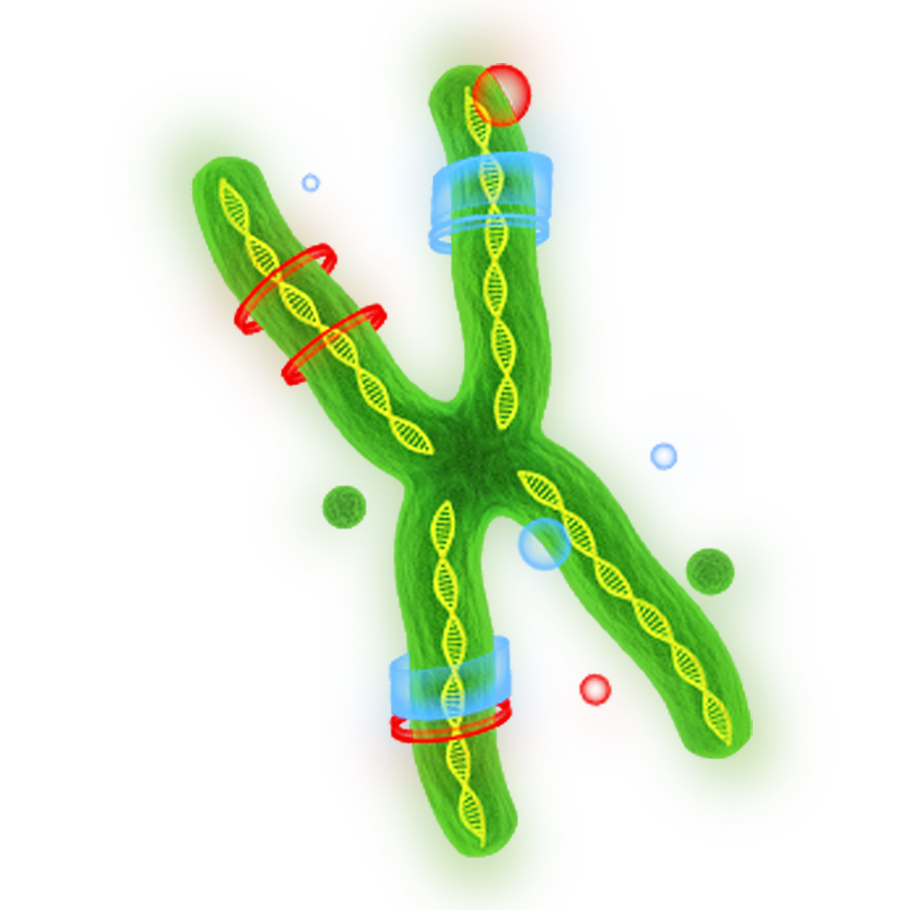 dna_PNG66